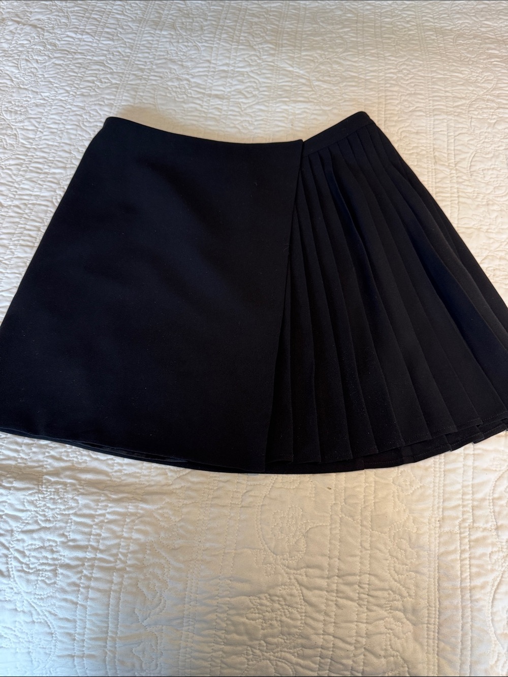 Black Pleated Express A-Line Skirt